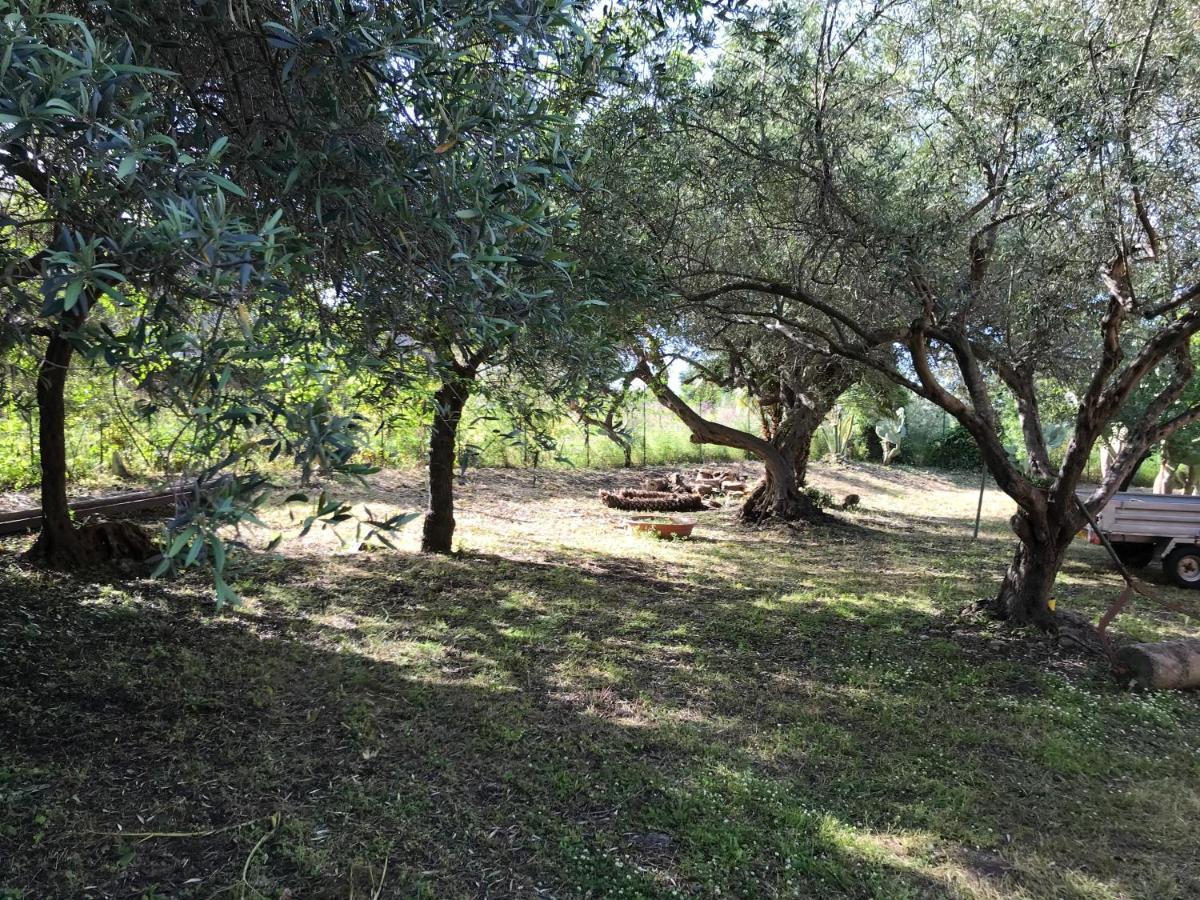 A Casa Di Peppino Villa Greco Tindari Bagian luar foto