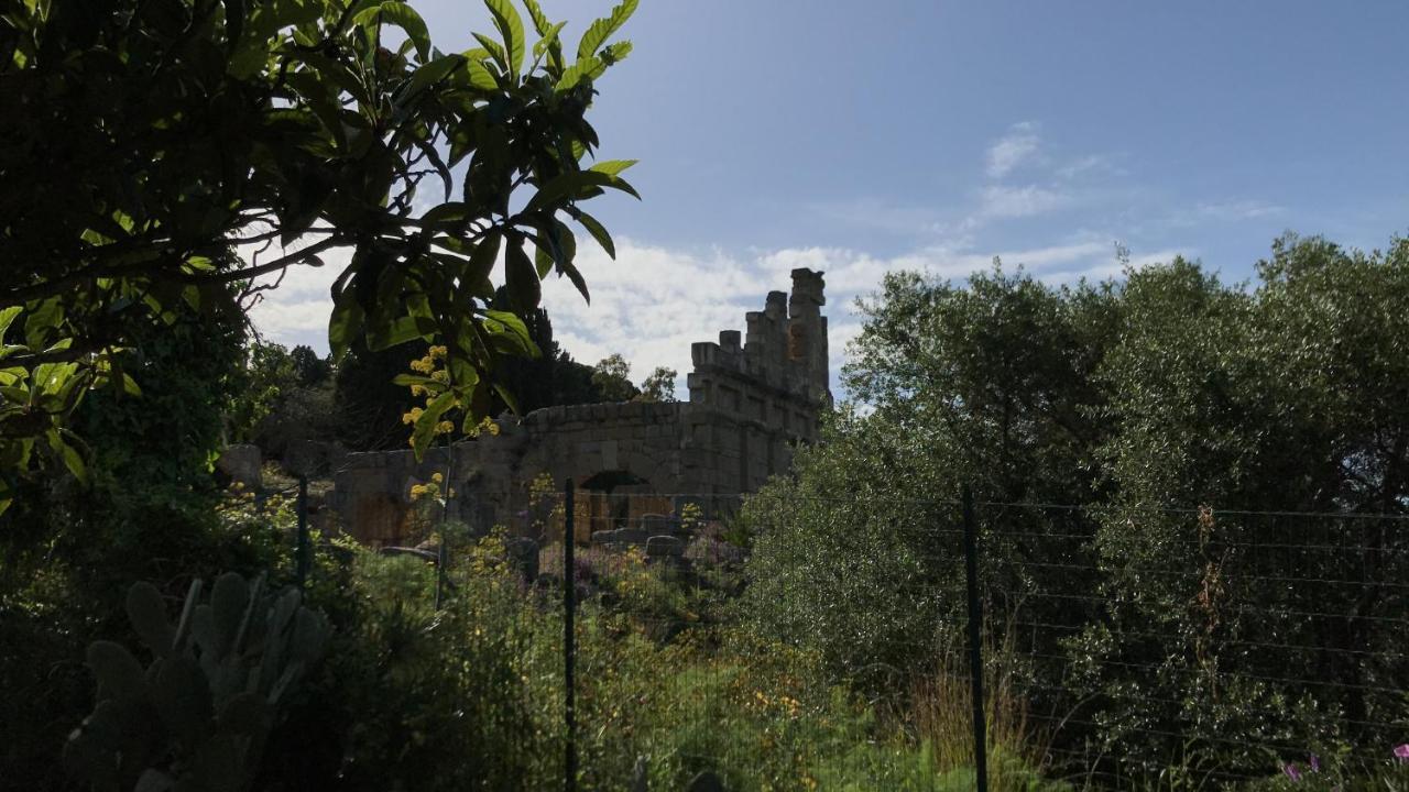 A Casa Di Peppino Villa Greco Tindari Bagian luar foto
