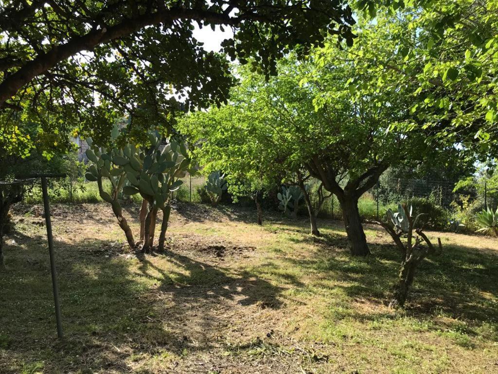 A Casa Di Peppino Villa Greco Tindari Bagian luar foto