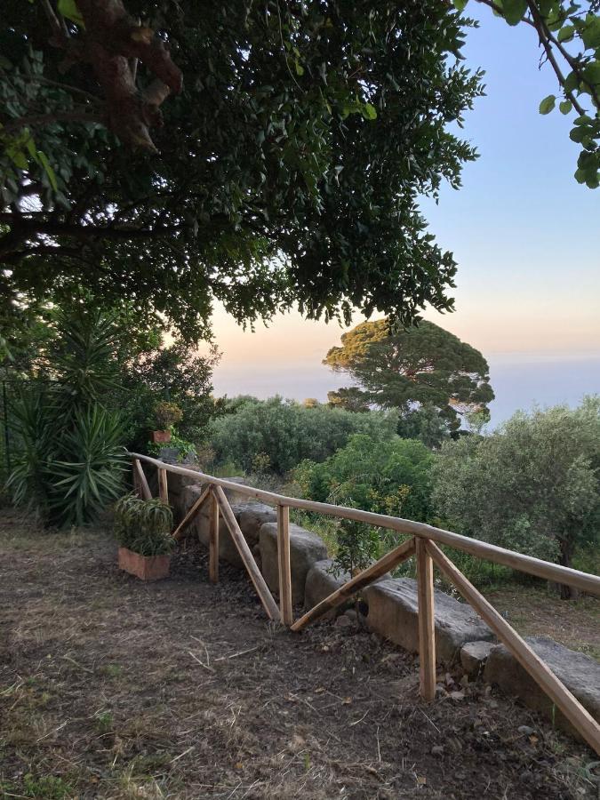 A Casa Di Peppino Villa Greco Tindari Bagian luar foto